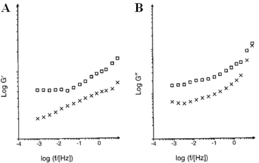 Fig.  1.17:  The  log–log  plots  G’(C)  and  G”(C)  against  frequency  represent  the  average  of  three reproducible measurements of F9 WT cells (open squares) and vinculin-deficient (5.51)  cells (crosses), demonstrating only the relative  differences