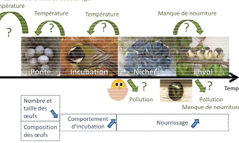Figure 4   des 