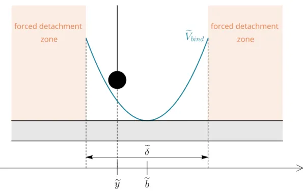 Figure 3.2: Potential of a binding site at position e b with a spatial extension e δ, interacting with a particle in ey