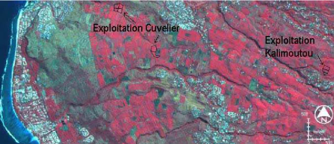 Figure 15. Localisation des exploitations de l’ouest, Cuvelier et Kalimoutou sur fond  d’image SPOT 5, composition colorée en fausses couleurs du 13 mai 2004