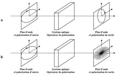 Figure II.5 : Modification de l’état de polarisation par un système optique. 