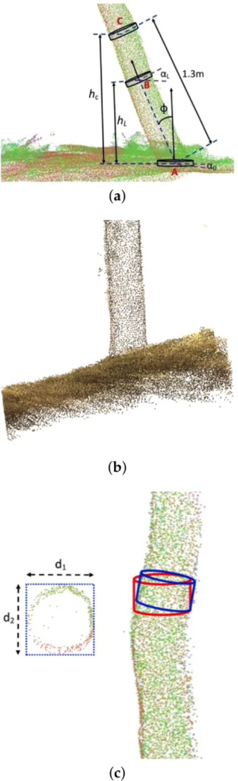 Figure 9. (a,b) show the case of a sloping tree on a horizontal ground and a vertical tree on a sloping ground, respectively