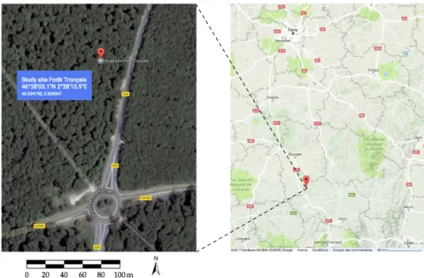 Figure 3. Study site Forêt de Tronçais in the Auvergne-Rhone-Alpes region (département de l’Allier) of Central France