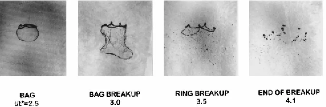 figure I-17 : Illustration du mécanisme de fragmentation en sac pour un Weber de 15 [31] (t/t* 
