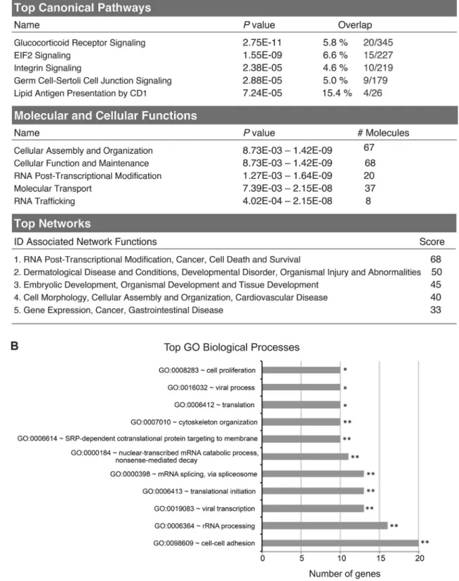 Fig. 4. Pathway, function and network analysis of the differentially oxidized cysteine-containing proteins identified by “redoxome” upon AA treatment.