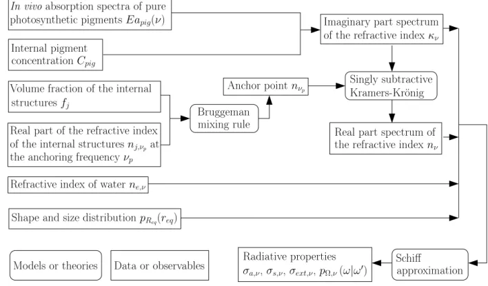 Figure 3: A summary of the methodological chain for determination of radiative properties of a photosynthetic microorganism.