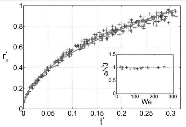 Figure 2.8 – : distance radiale adimensionnée du col, r ∗ n = r n /R 0 en fonction du temps adimensionné, t ∗ = t/τ pour 22 impacts à nombre de Weber variant de 20 à 255