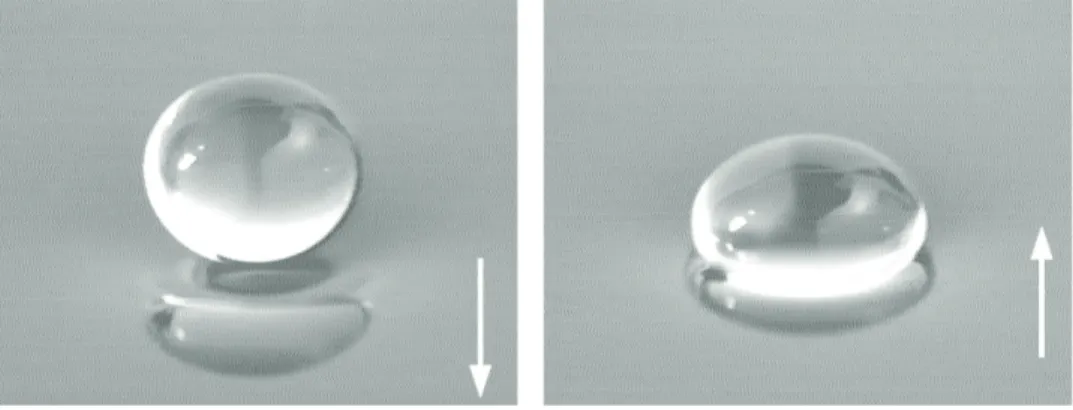 Figure 1.8 – Photographies d’une goutte de 2 mm de diamètre rebondissant à la surface d’un liquide vibré