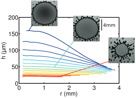 Figure 2.16 – Proﬁls d’épaisseur d’une goutte d’éthanol caléfactante de rayon initial R = 1.15 mm impactant à U = 2 m/s une pastille en silicium chaude