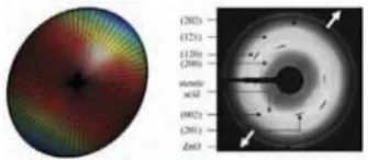 Figure 2. Comparison between the distribution of polymer subnetworks and wide angle X-ray diffraction data under uniaxial loading