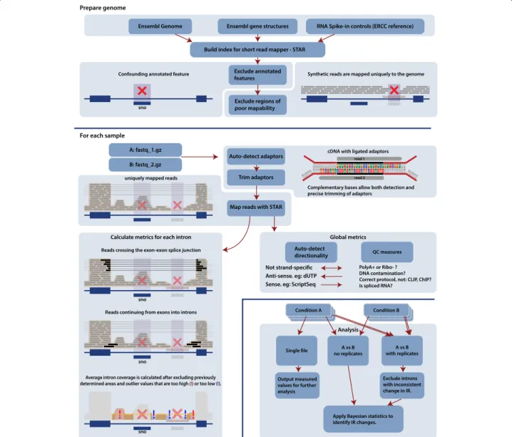 Fig. 5 Overview of the IRFinder algorithm. QC quality control. ERCC Sequences from External RNA Controls Consortium (ERCC, http://jimb.stanford.edu/ercc/)