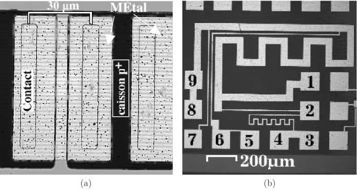 Figure 2.11: Images optiques des motifs de test : (a) motifs de contact m´ etal-semiconducteur en chaˆıne et (b) motifs de lignes m´ etalliques.