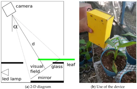 Figure 1. Optical system for the image acquisition: (a) Schematic view, (b) optical system test.