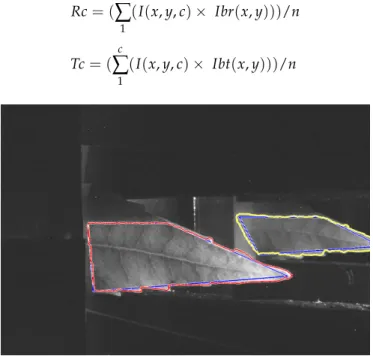 Figure 4. Leaf and background, separation process. 