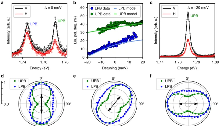 Fig. 3 Valley coherence of exciton-polaritons in WSe 2 . a Polarization resolved photoluminescence spectra, at zero exciton-cavity detuning ( Δ ¼ E c  E X 0 ) under vertically linearly polarized excitation showing clear retention of injected valley coheren