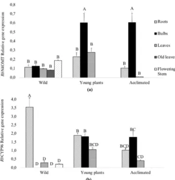 Table 4.  Montanine content (mg/g) found in the organs of Rhodophiala bifida plants cultured in different  growth conditions