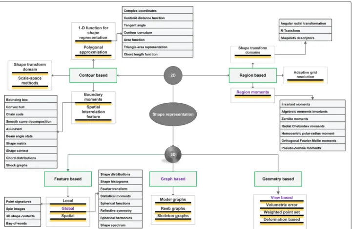 Fig. 1 Taxonomical classification of shape analysis techniques. At the root, they can be classified based on dimensionality of the model (2D or 3D).