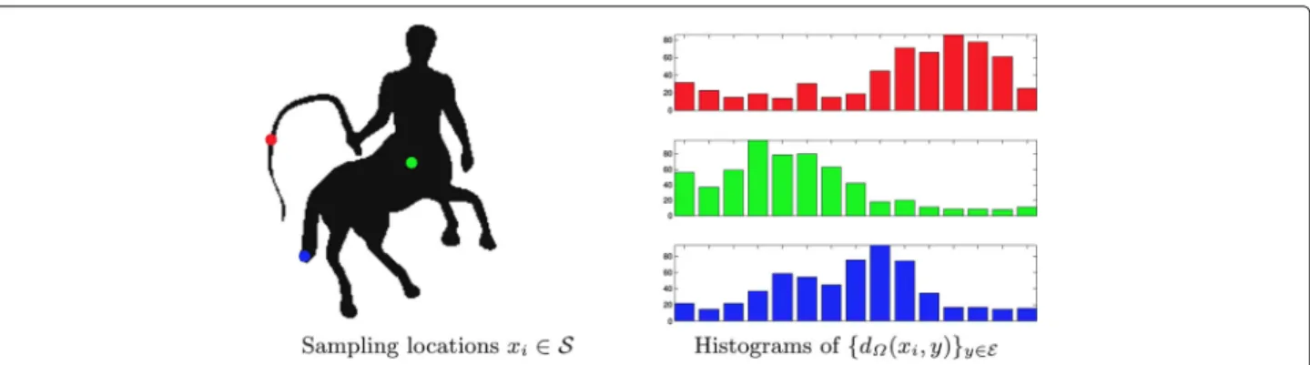 Fig. 5 Histogram of the distribution of the geodesic distance to several points [61]. The geodesics from seeds indicated by blue, green, and red propagate to all the points in the image, and their individual histogram distribution is depicted on the right