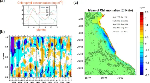 Figure 25. Annual variation of Chl between 1996 and 1999 (a) [Carr et al., 2002]. Chl anomalies  alongshore  from  1997 to 2008 averaged in a coastal band [Thomas  et al., 2009] (b)