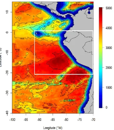 Figure 4. Model domain. The white box represents the PCUS. The model topography (in meters,  originally from ETOPO2 before being smoothed)  is shown in color scale