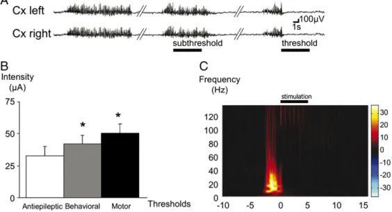 Fig. 1. Seizure interruption with single unilateral bipolar SNr stimulation in GAERS (stimulation mode: bipolar, monophasic, unilateral, 60 μ s, 130 Hz)