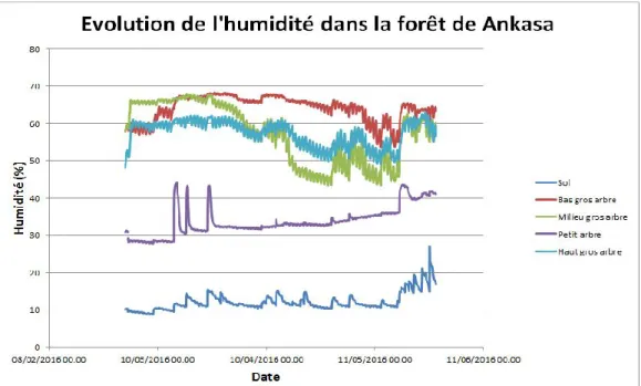 Figure 3-4 : Évolution de l'humidité dans la forêt d’Ankasa de février 2016 à juin 2016