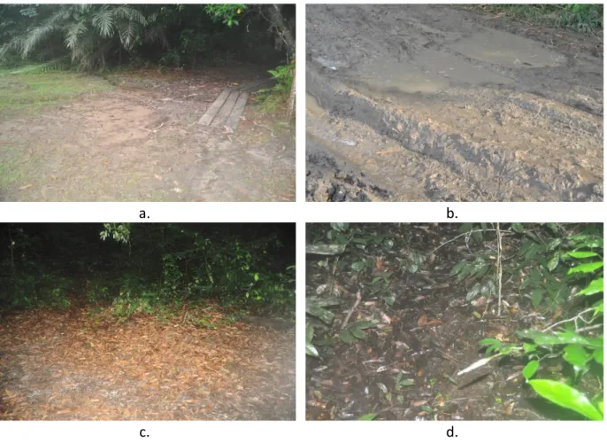 Figure  3-17 :  Sols  présents  dans  la  forêt  de  Mondah.  a. :  sol  sableux.  b. :  sol  à  base  d’argile