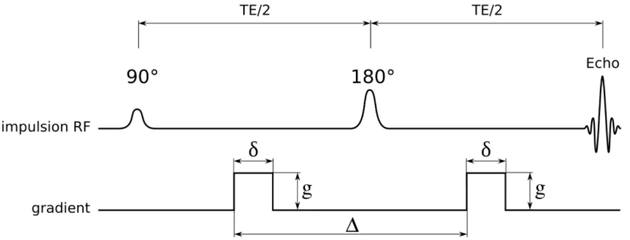 Figure 1.4 – Séquence Stejskal et Tanner ou PGSE : deux impulsions de gradients d’amplitude g, de durée δ et séparées d’une durée ∆ sont placés de part et d’autre d’une impulsion de refocalisation dans une séquence écho de spin.