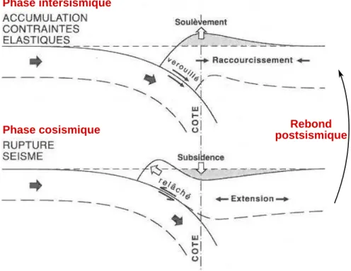 Figure 1.9: Sch´ema des deux phases principales du cycle sismique (intersismique et cosismique) dans le cas d’une zone de subduction (modifi´e d’apr`es Lallemand et al