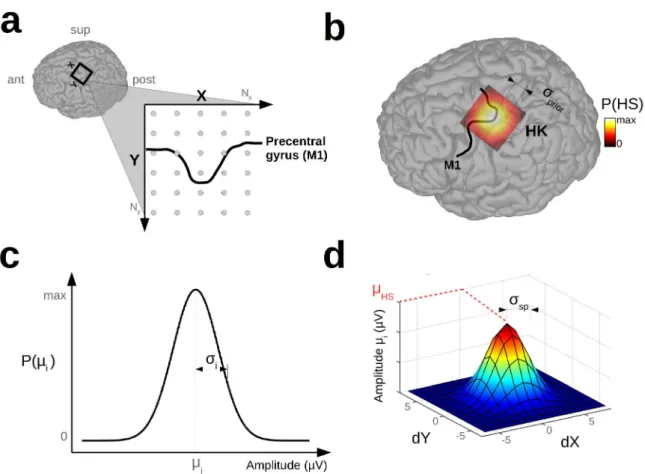 Figure 1: Main components and hypotheses of the AutoHS model. a: stimulation grid used for hunting and for expressing point coordinates