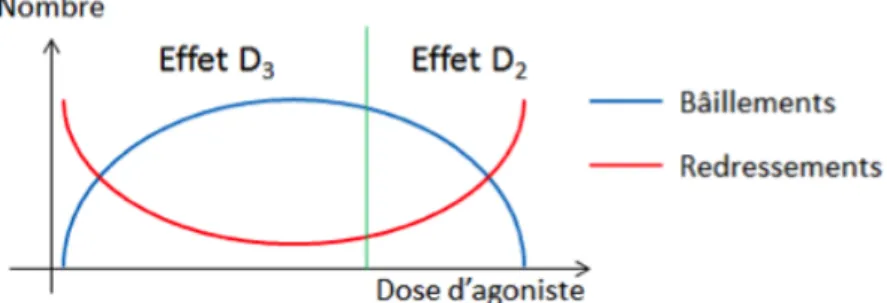 Figure 3: Effets de l’injection d’agoniste D3 sur les bâillements et les redressements  en fonction de la dose