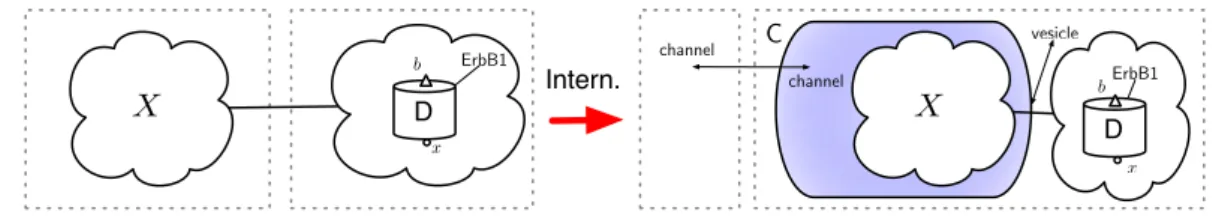 Fig. A.3. The Intern. rule is obtained by composition of the pinch and diffusem generators and invoking the species node where it is needed
