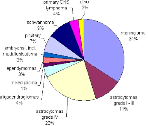 Fig. 0-3: Primary CNS tumors, major histopathologic types and their distribution. Source Central  Brain Tumor Registry of the United States 1998 - 2002  (http://www.cbtrus.org/2005-2006/tables/2006.table8.pdf) 