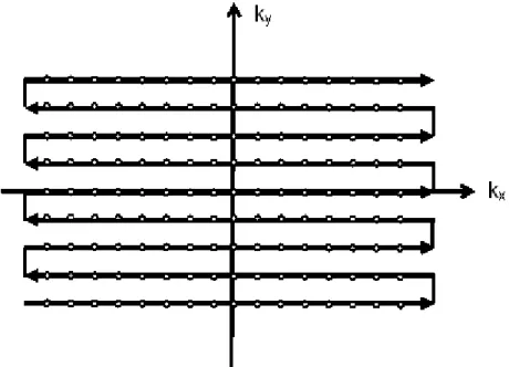 Fig. 0-8: a single shot blipped EPI trajectory 