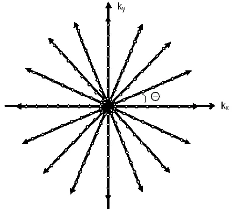 Fig. 0-10: Projection reconstruction sampling pattern. The center of K-space is oversampled and  the sampling points have a decreasing density from the center out to the periphery of K-space