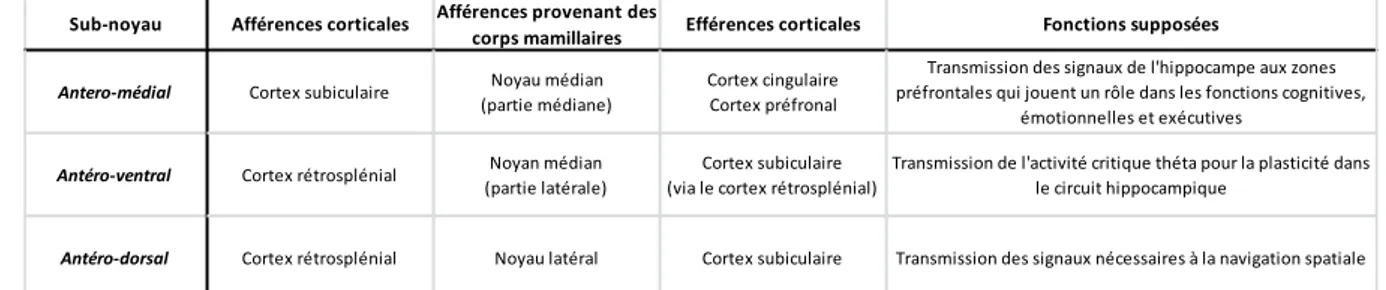 Tableau 4: Tableau résumant les différentes afférences et efférences du Noyau Antérieur du Thalamus