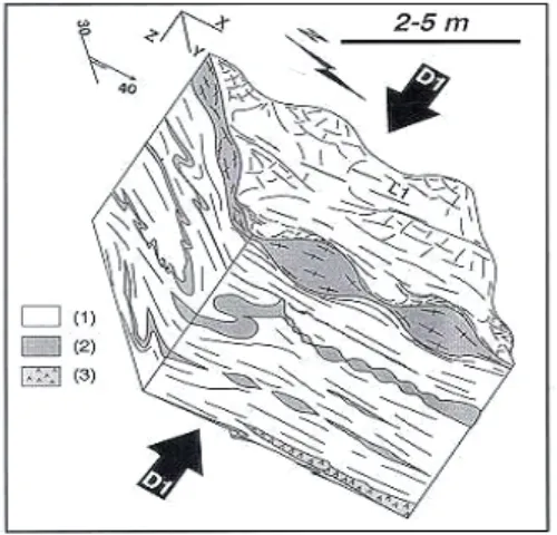 Fig. 4 : bloc-diagramme qui accompagne l’extrait de l’article 