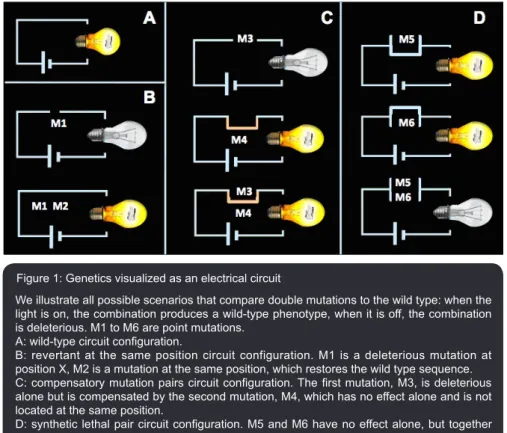Figure 1: Genetics visualized as an electrical circuit