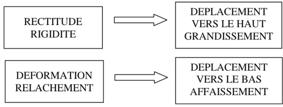 Figure 2 : Structure des règles causales énoncées par les enseignants en cours de  gymnastique 