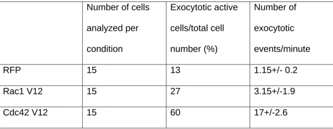 Table 2: Exocytotic activity of Cos 7 cells coexpressing TIVpHL and RFP, Rac1  V12 or Cdc42 V12