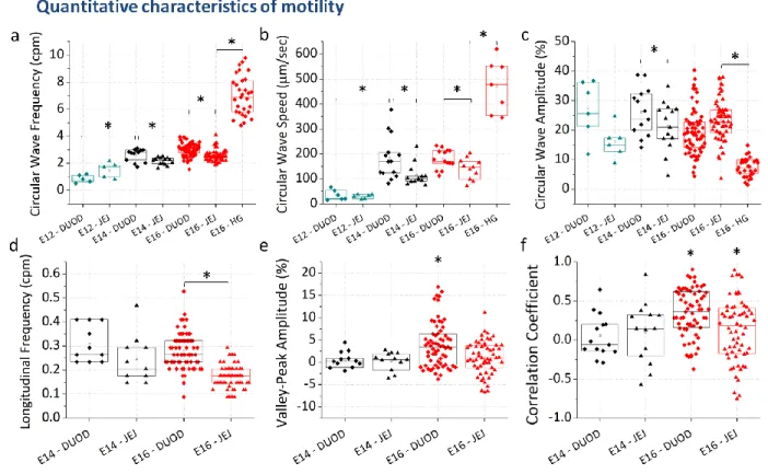 Figure 3. Quantitative characteristics of circular, longitudinal, and circular-longitudinal coupling at E12-E16
