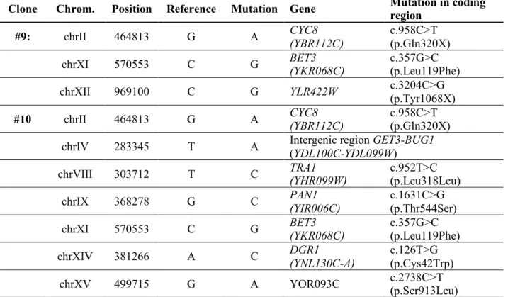 Table  S1.  Single  nucleotide  variants  in  clones  #9  and  #10  as  compared  to  the  WT  strain,  as  identified by whole genome resequencing 