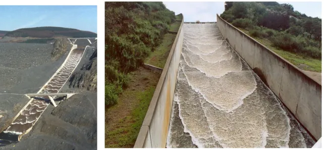 Fig. 1.3 – Series of roll waves moving down a spillway.