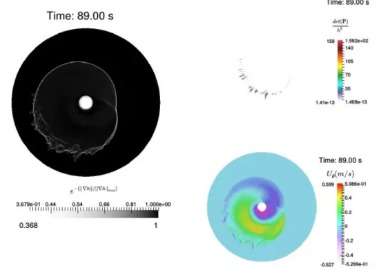 Fig. 1.10 – 2D simulation of the hydraulic jump. The profiles of h, U θ and det(P)