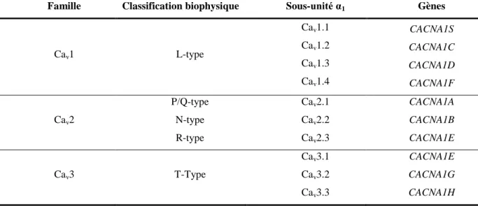 Tableau 1. Les canaux calciques dépendants du voltage et leurs sous-unités α 1  correspondantes