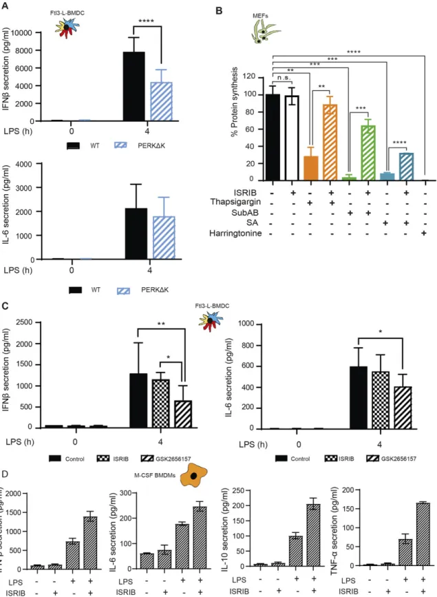 Figure 7. ISRIB does not inhibit cytokines expression in LPS activated DCs and Macrophages.