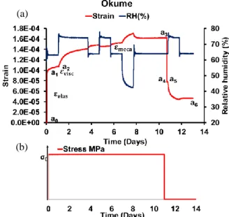 Figure 2: experimental set up for voscoelastic mechano-sorptif  test