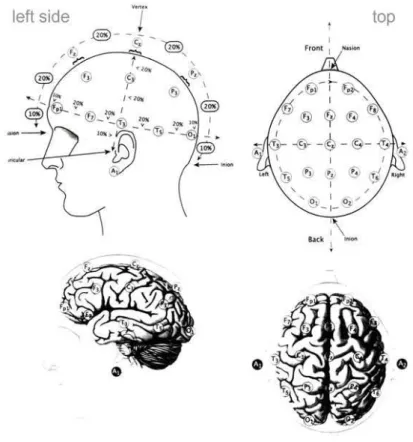 Figure 2.4: Typical scalp EEG electrodes’ placement in the 10-20 system [Augustyniak 2001].