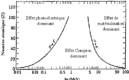 Figure 13 : Importance relative des trois modes d’interaction des photons avec la  matière d’après (Evans 1985, Chetioui, Despiney et al