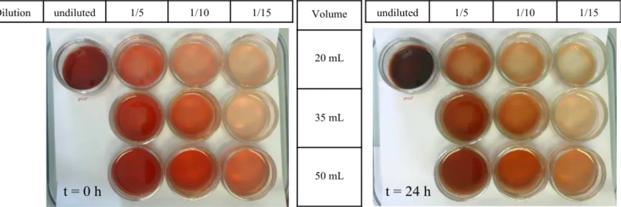 Figure 1. Visualization of the color of the same rib steak juice with different volumes (20 mL, 35 mL, and 50 mL) and different dilutions (1/5, 1/10, and 1/15) at t = 0 h and t = 24 h, at 20 ◦ C